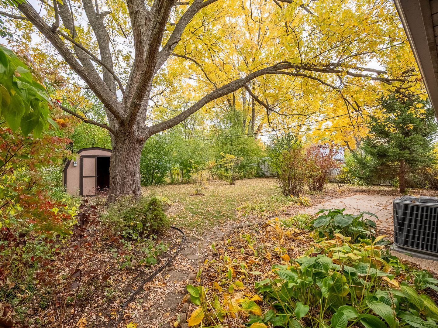 418 Tanglewood Drive - Thumbnail 12