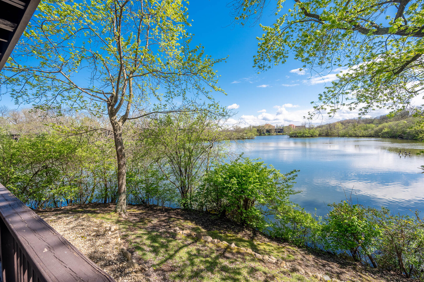 1611 Maple Terrace - Thumbnail 11